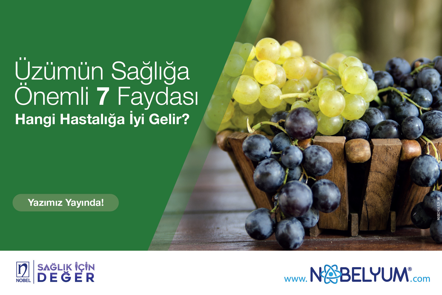 uzum-faydalari-27082024-guncel