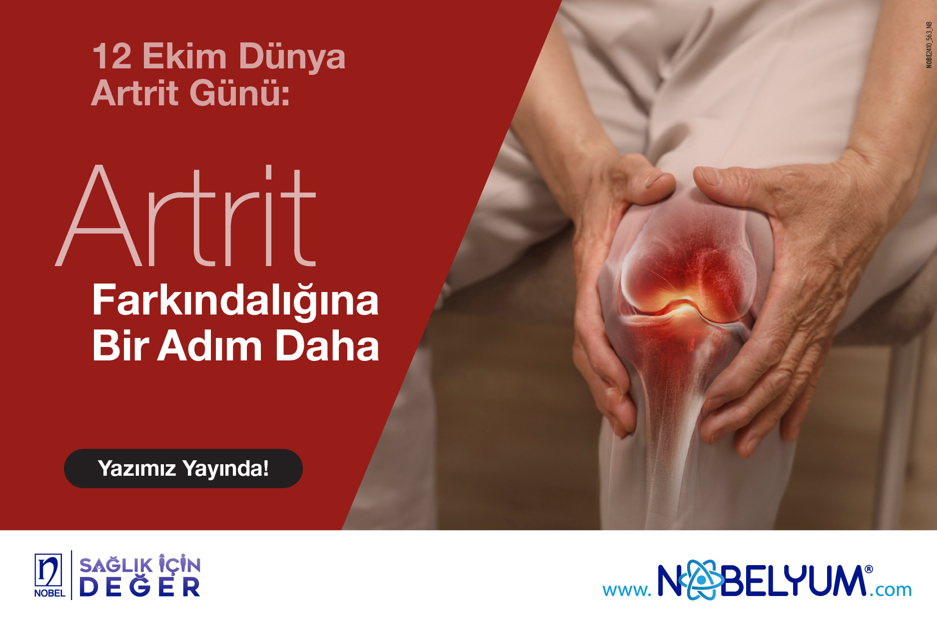 dunyaartritgunu-11102024-guncel