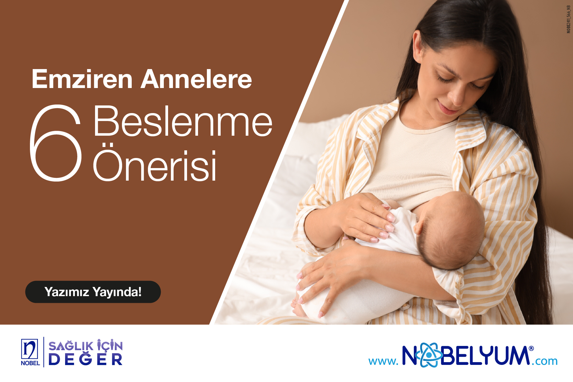 emziren-annelere-beslenme-onerisi-29112024-guncelgelismeler