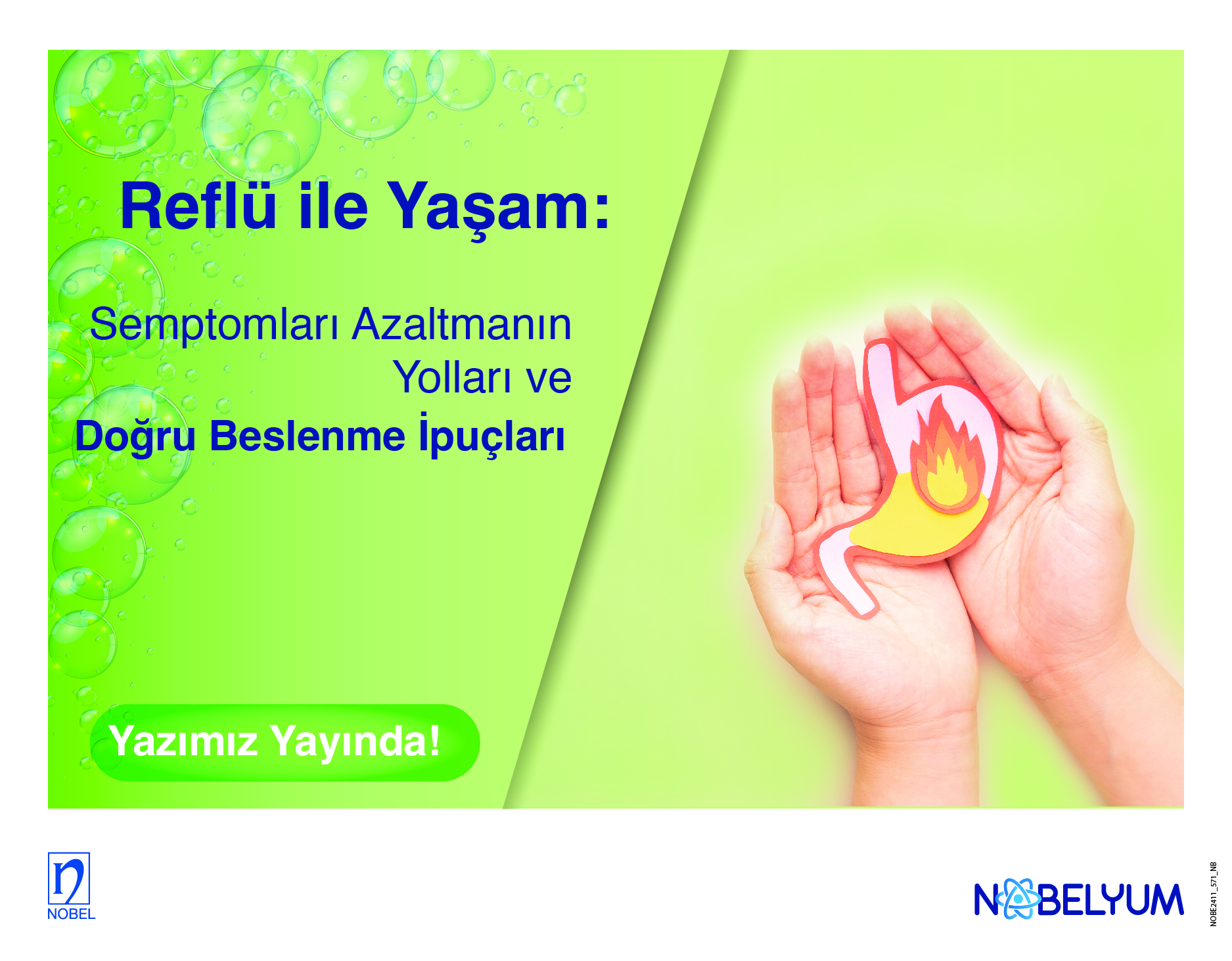 reflu-19112024-guncelgelismeler