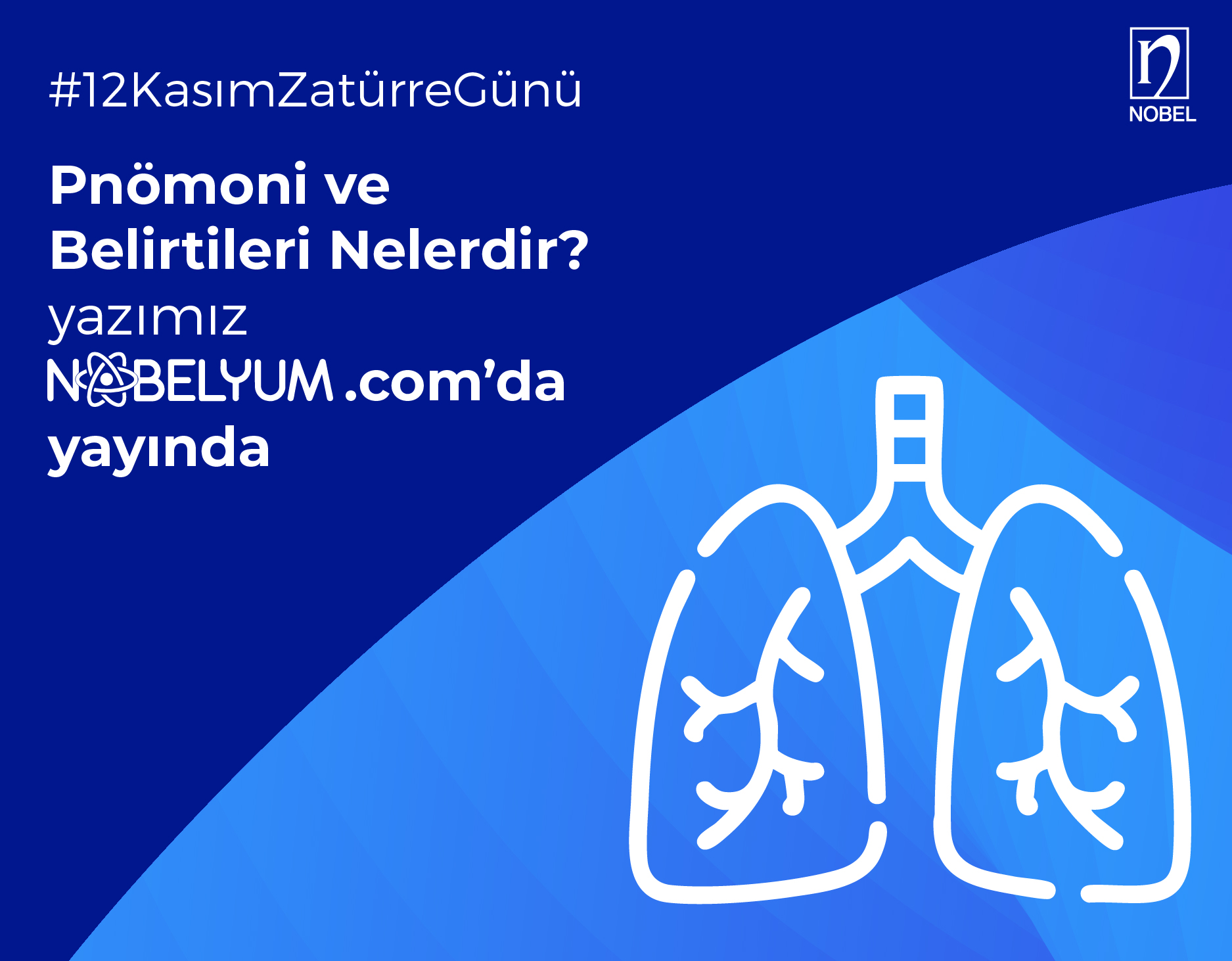 zaturregunu-12112024-guncelgelismeler