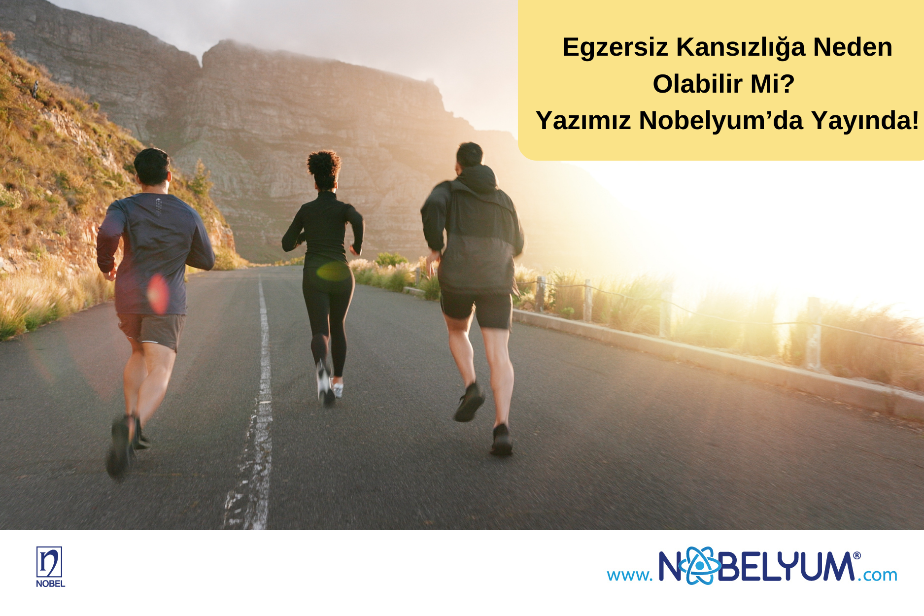 egzersizkansizliga-16122024-guncelgelismeler