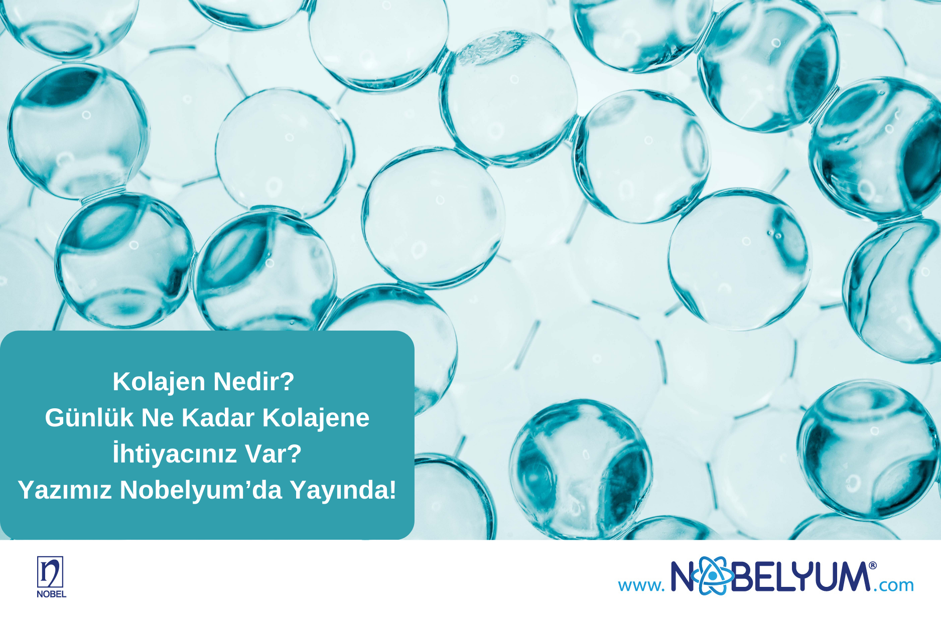 gunlukkolajen-23122024-guncelgelismeler