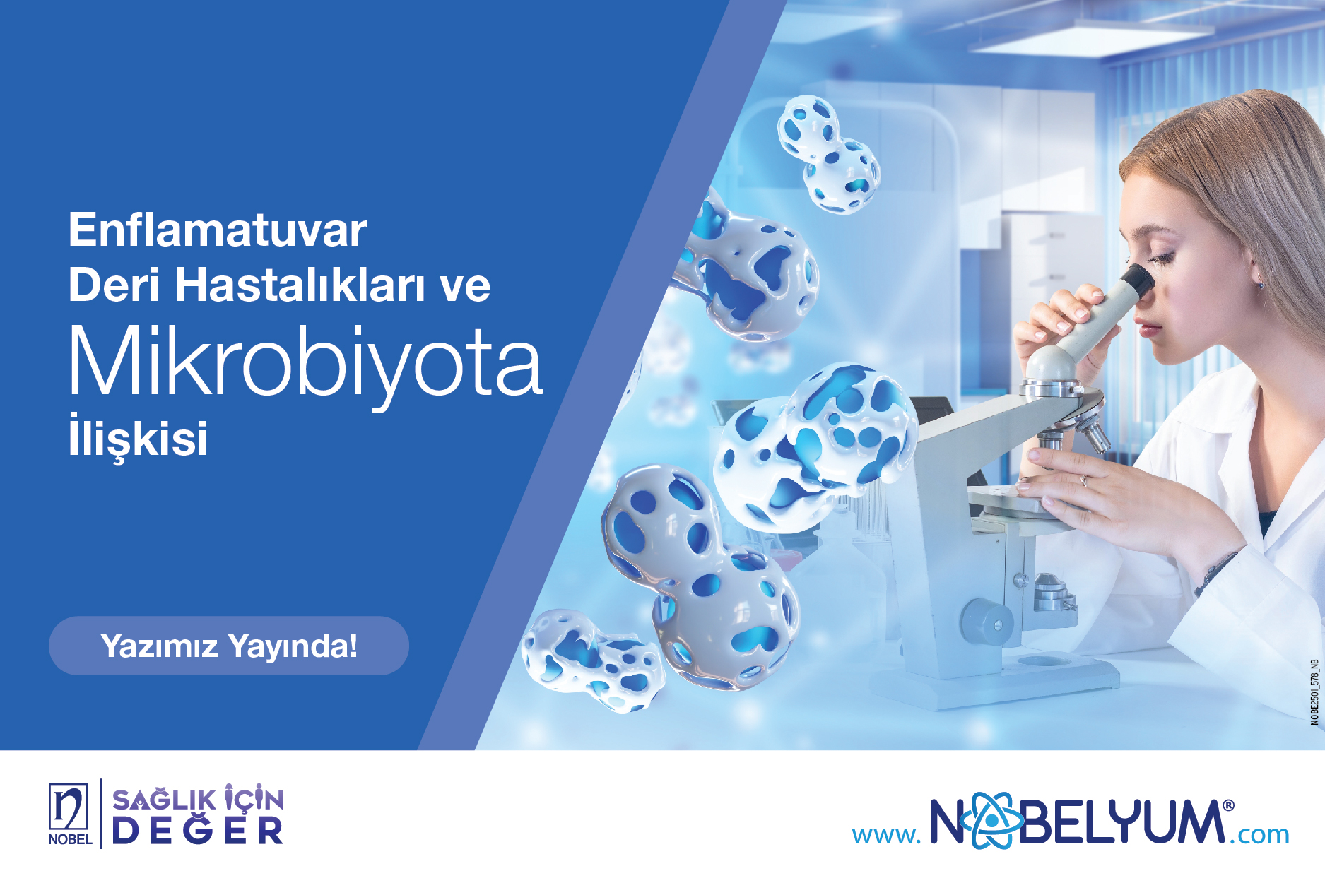 enflamatuar-10022025-guncelgelismeler