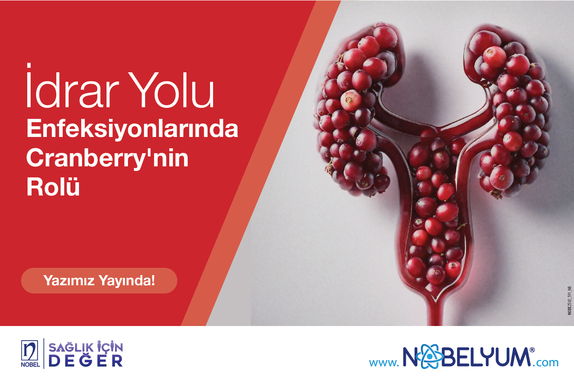 idraryolu-26032025-guncelgelismeler