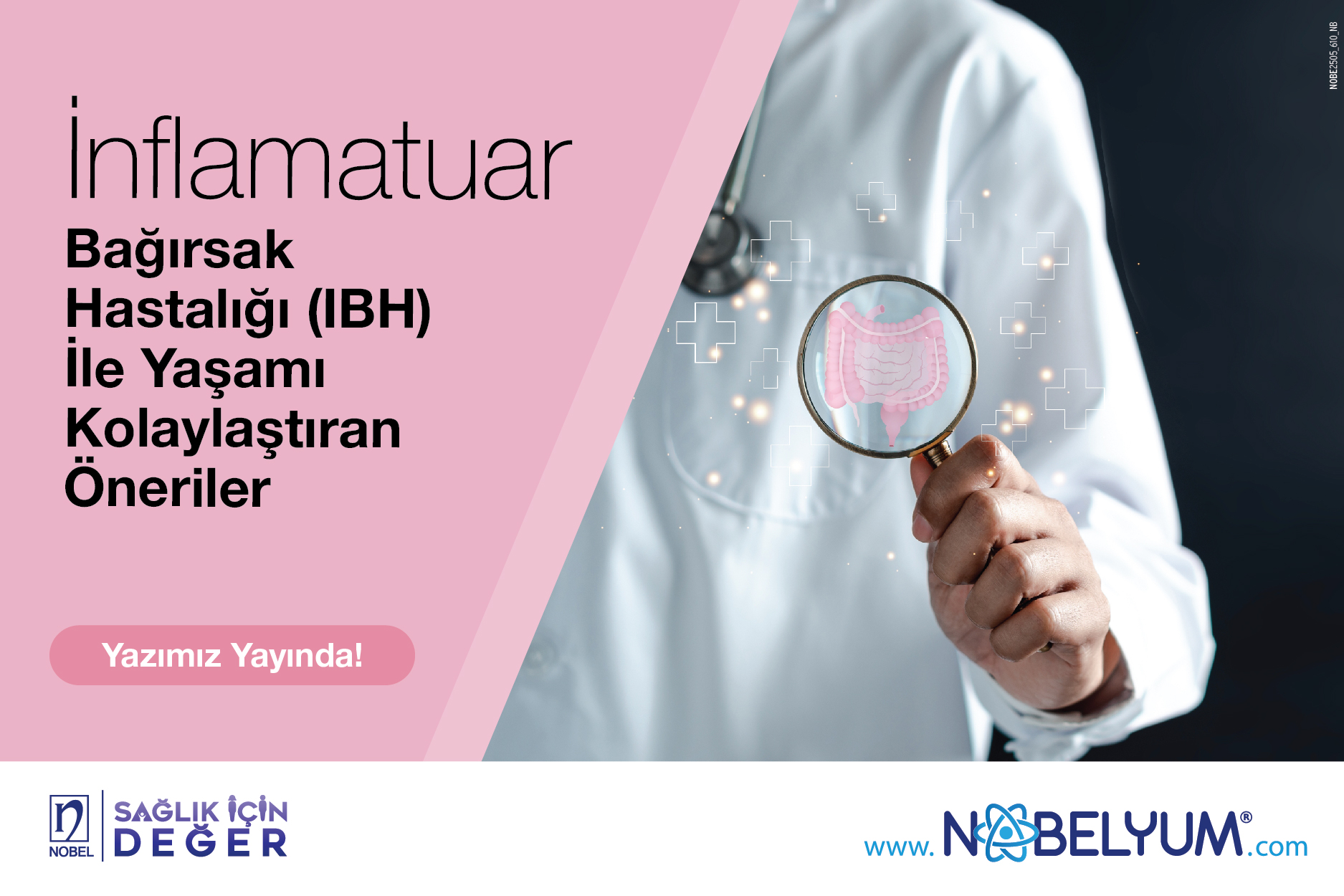 inflamatuarrev-29052025-guncelgelismeler