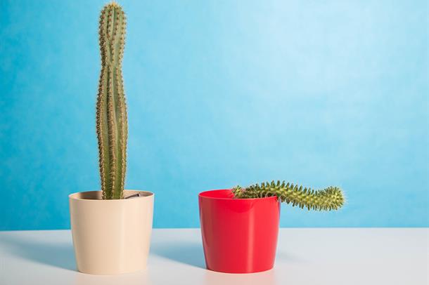 Sertleşme-Problemi-nedir-ve-nasıl-tanı-konur-hasta-için