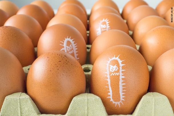 Gıda Güvenliği Alarmı: Salmonella Enfeksiyonunu Anlamak - thumbnail