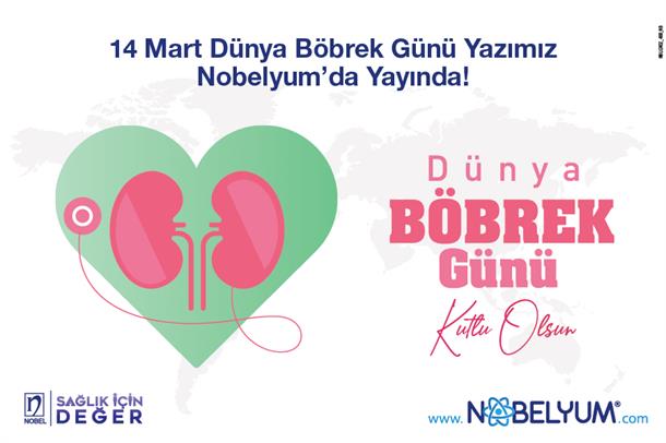 bobrekgunu-2024-13032024-thumbnail