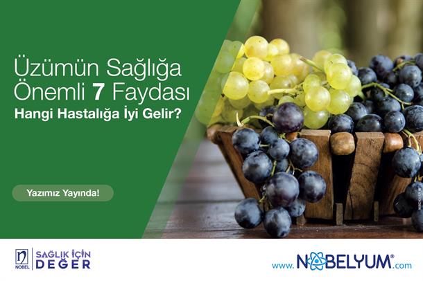 uzum-faydalari-27082024-guncel